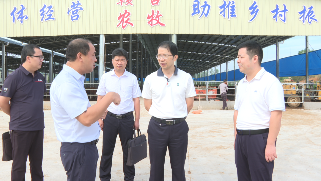 潘金城深入莊埠鄉、珠蘭鄉調研